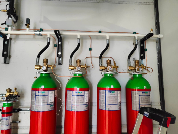 Zdjęcie WhatsApp 2025 07 09 o 18.00.56 40d46c96